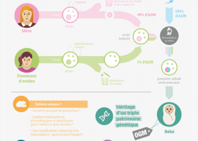 etude drees : les disparités territoriales face au « bien vieillir »