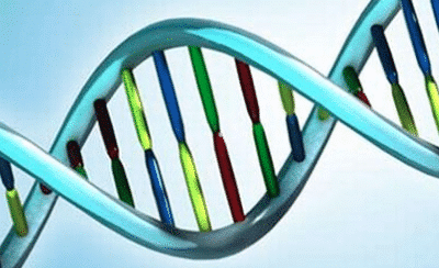 CRISPR-Cas9 et être humain génétiquement modifié : une question dont la France doit vite se saisir