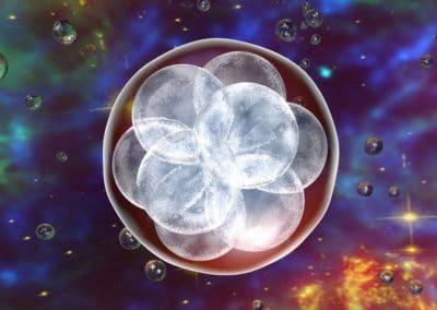 Les Pays-Bas autorisent la création d’embryons humains pour la recherche