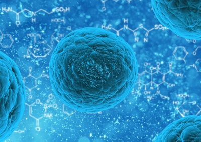 loi santé et recherche sur l’embryon humain