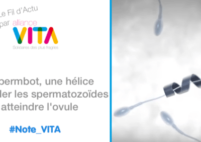 le spermbot, une hélice pour aider les spermatozoïdes à atteindre l&rsquo;ovule