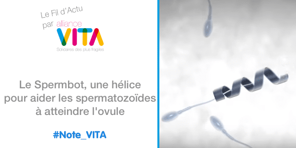 Le Spermbot, une hélice pour aider les spermatozoïdes à atteindre l&rsquo;ovule