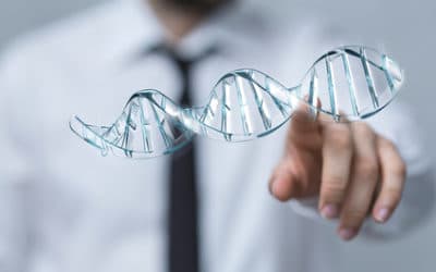 le génome humain fait partie de notre « patrimoine de l’humanité »