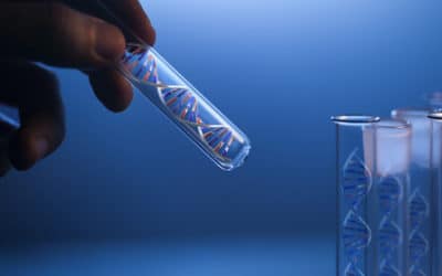 Modification du génome d’embryons humains : une décision de l’Académie de médecine qui interroge