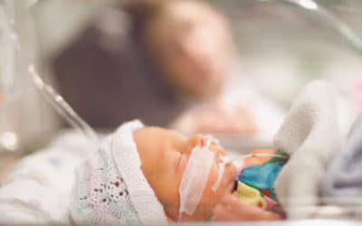 Bébés prématurés : prendre soin de ces plus fragiles