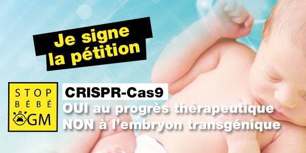 [CP] Sondage CRISPR-Cas9 : des résultats qui donnent sens à l’alerte nationale « Stop Bébé OGM »