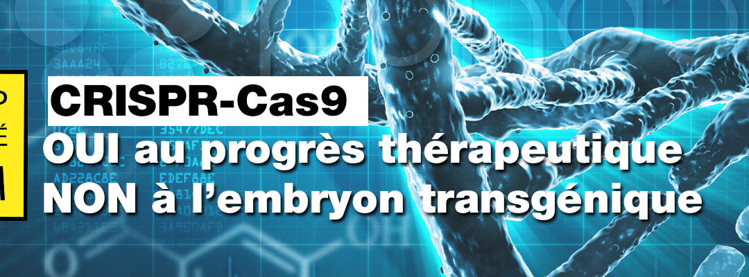 [CP] Stop Bébé OGM : une campagne citoyenne d&rsquo;alerte sur CRISPR-Cas9
