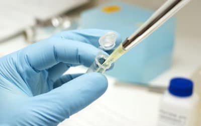 CRISPR-Cas9 et thérapie génique : un premier essai clinique approuvé