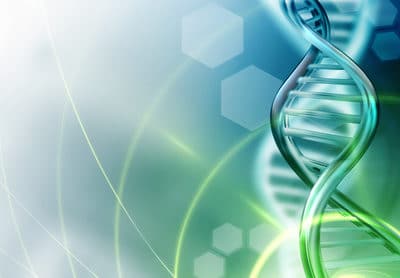 ADN : Décryptage du projet "Human Genome Project–Write"