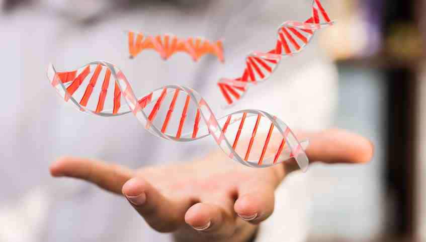 crispr-cas9 : un essai clinique pour soigner la drépanocytose ?