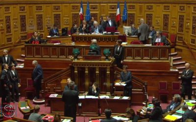 [press release]: obstruction to abortion: « the truth will prevail! »