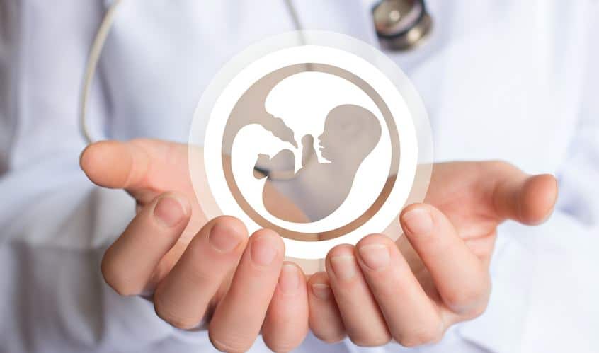 décodeur n°33 : loi autorisant la recherche sur l’embryon