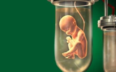 Des tests de "couveuses perfectionnées" évoquent la quête de "l’utérus artificiel"