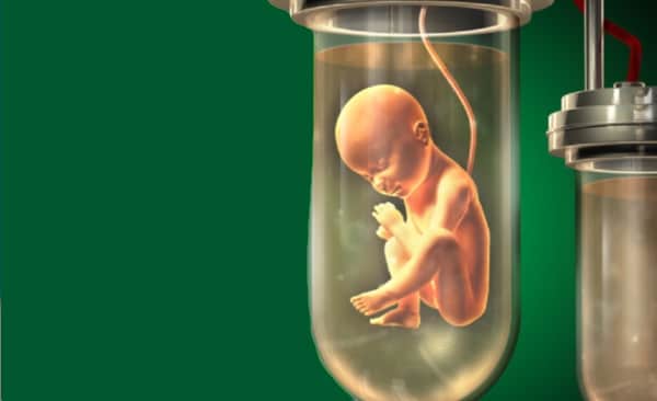 des tests de "couveuses perfectionnées" évoquent la quête de "l’utérus artificiel"