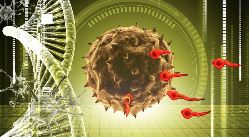 CRISPR-Cas9 : des recherches encourageantes sur le VIH