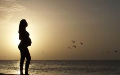 gpa : analyse des arrêts de la cour de cassation