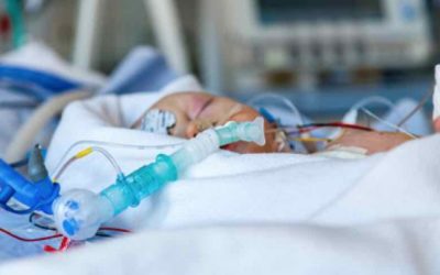 grande-bretagne : la cedh autorise l’arrêt des soins du petit charlie gard