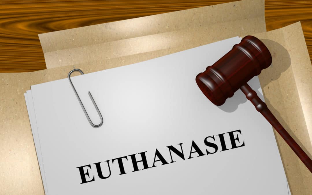 Estimation et analyse des demandes d’euthanasies en France