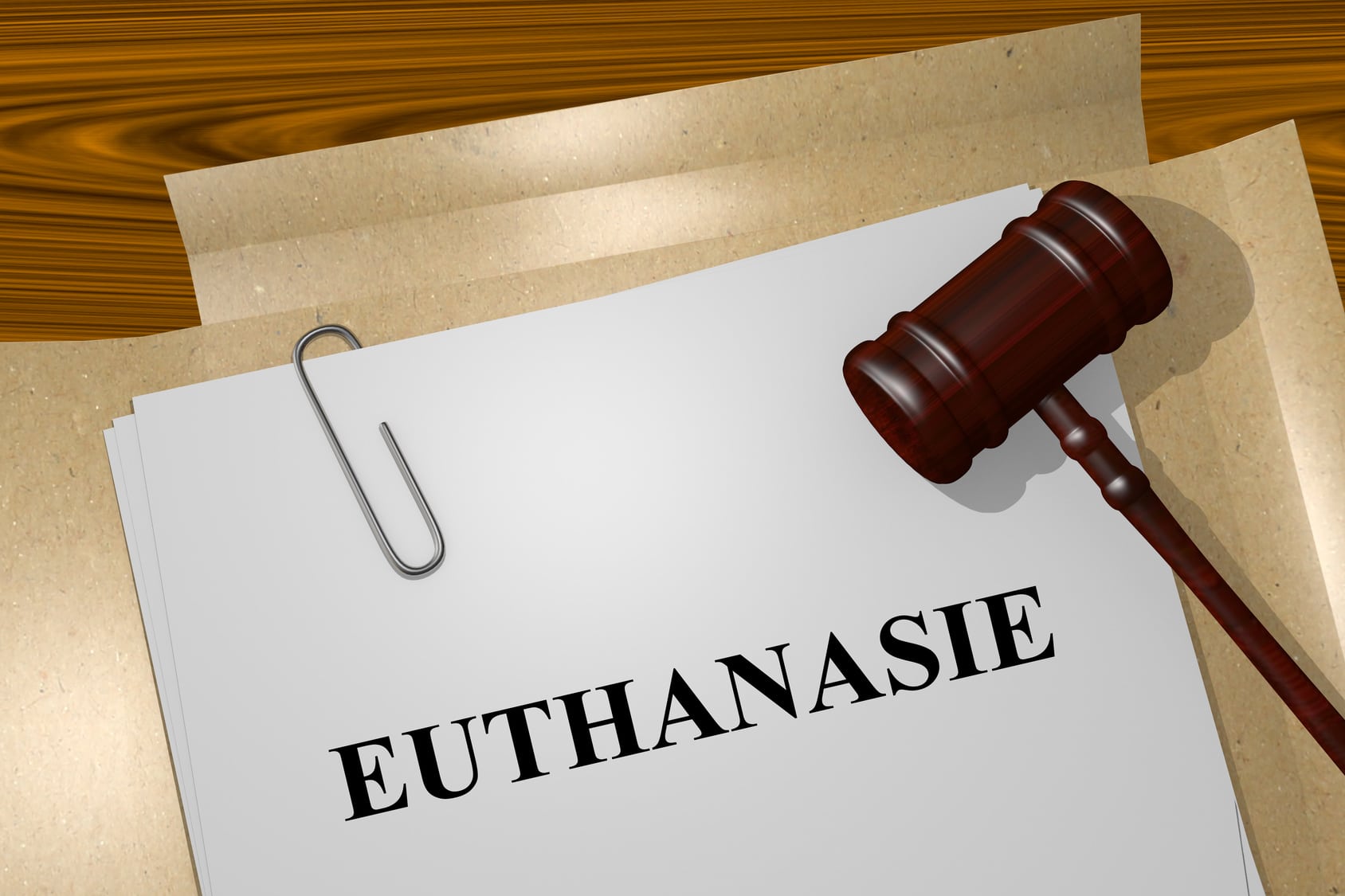 demande d'euthanasie demandes d'euthanasies analyse demandes persistantes d'euthanasie