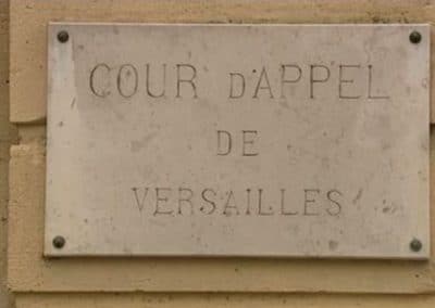 pma : deux adoptions validées en appel pour un couple de femmes