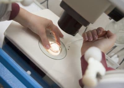 fiv à 3 parents : premières autorisations en grande bretagne