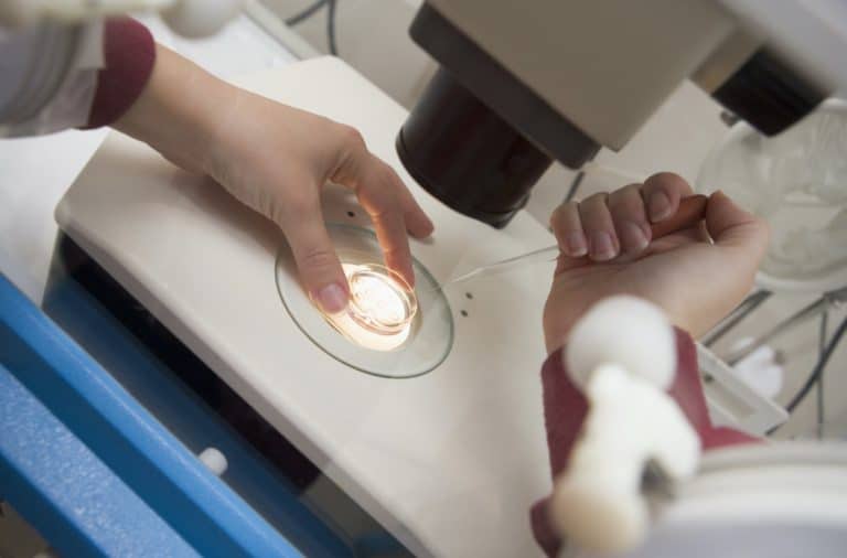 embryologie.jpg