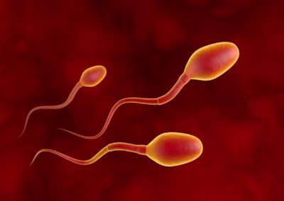 infertilité : un rapport alarmant de l’agence nationale de santé publique