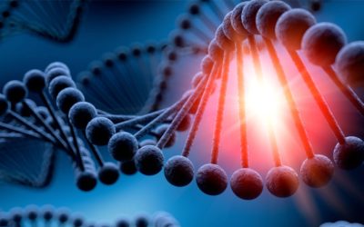 Nouvelles technologies génétiques chez les êtres humains et Droits de l’Homme