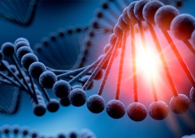 nouvelles technologies génétiques chez les êtres humains et droits de l’homme