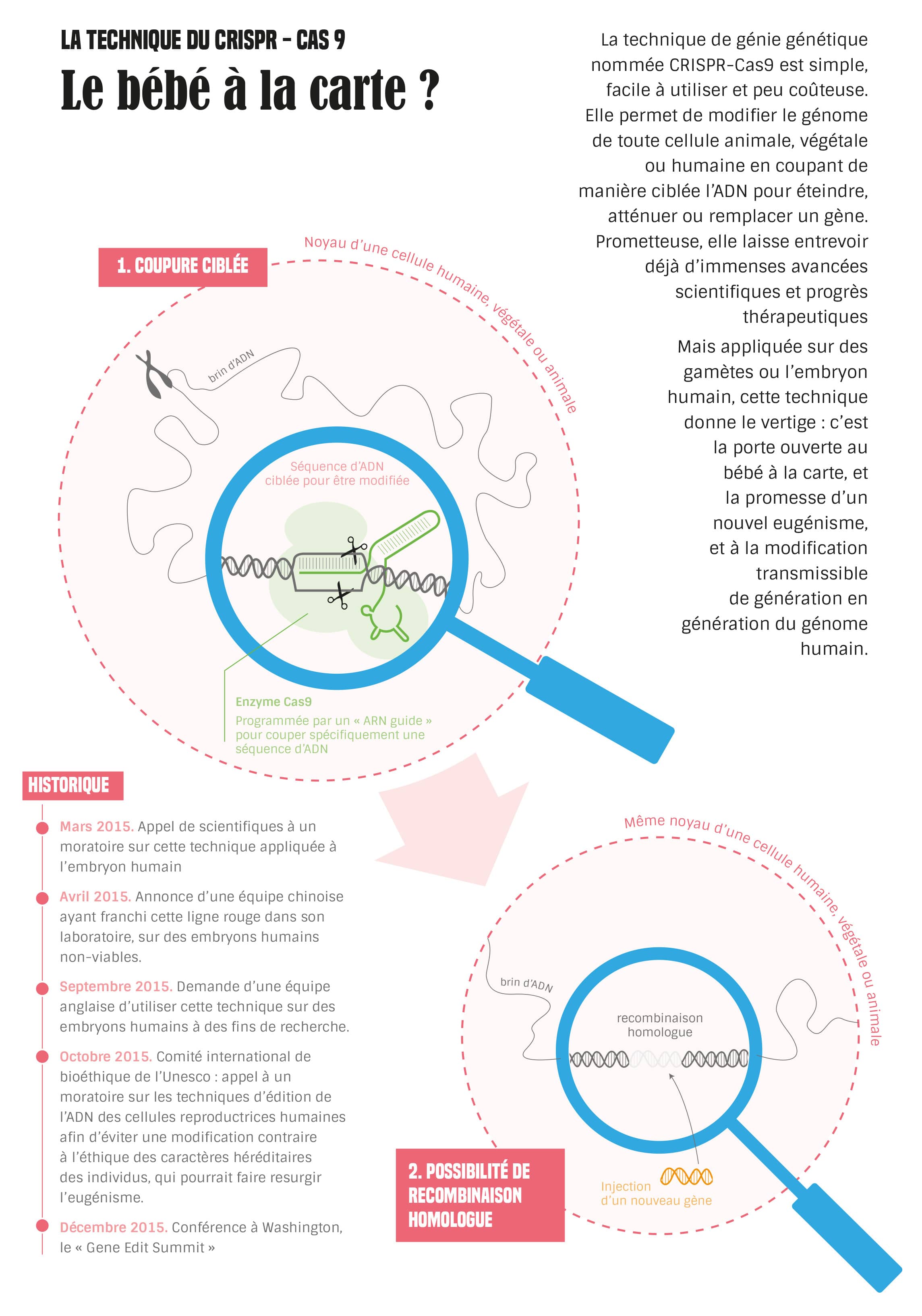 egb crispr