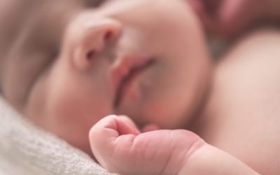 [CP] Alliance VITA alerte les Français contre la mesure du PJL Bioéthique qui autorise la création d’embryons humains transgéniques