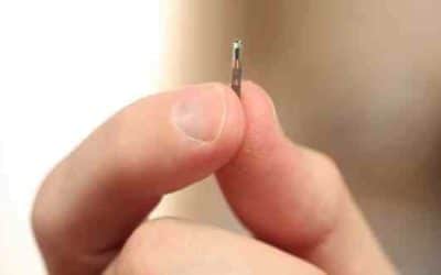 en route vers les premiers cyborgs ?