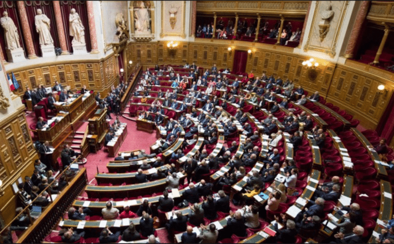 Décodeur n° 43 : « Les enjeux bioéthiques du projet de loi Santé »