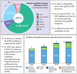 quelques chiffres du don dorganes en france 300x289