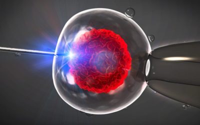 [press release] bioethical warning: new “3-parent” ivf baby born in greece