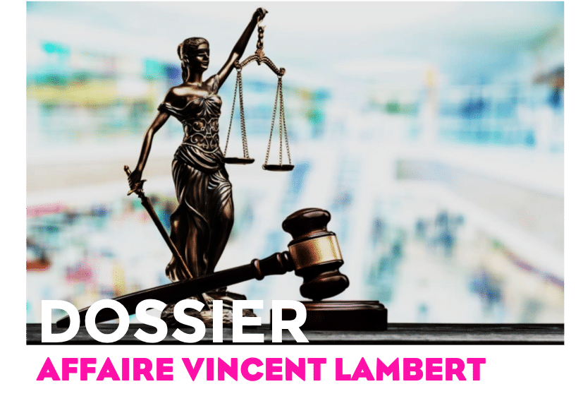 procédures judiciaires concernant vincent lambert