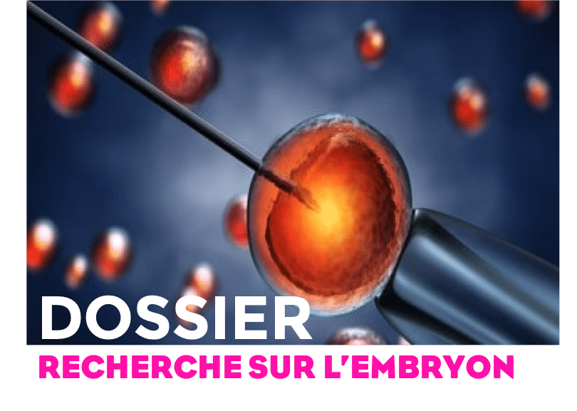 recherche embryon 1