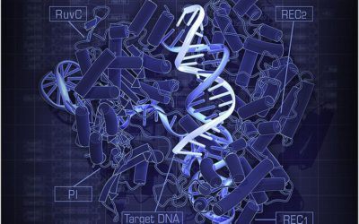 [CP] Prix L’Oréal-Unesco : la France doit être à l’avant-garde éthique sur l’utilisation du CRISPR-Cas9