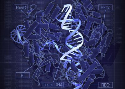 [cp] prix l’oréal-unesco : la france doit être à l’avant-garde éthique sur l’utilisation du crispr-cas9