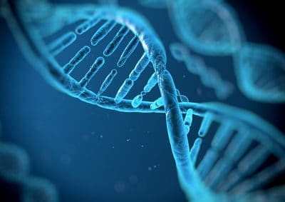 crispr / cas9 : 1ère étude clinique mondiale annoncée