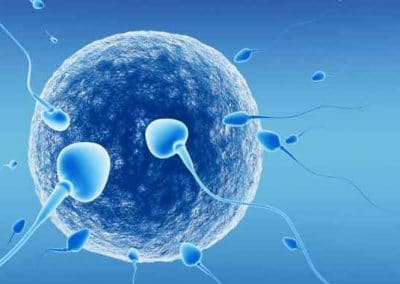 le conseil de l’europe recommande la levée de l’anonymat pour le don de gamètes