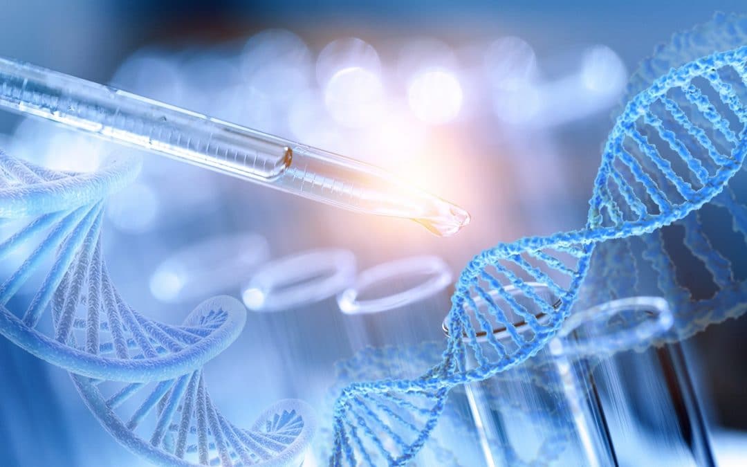 [CP] PJL Bioéthique : Alliance VITA demande aux sénateurs de se mobiliser contre les injustices