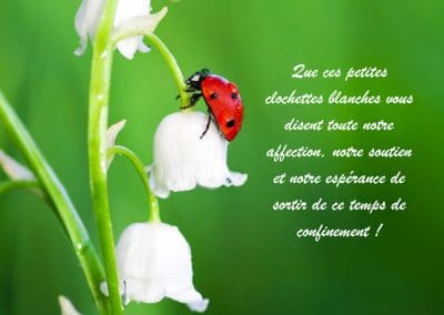 solidarité  intergénérationnelle : opération muguet