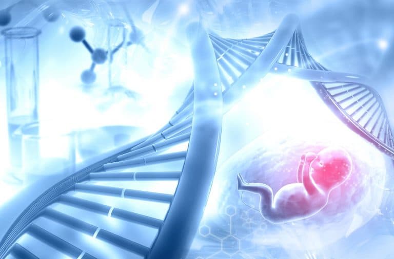 PJL bioéthique commission spéciale