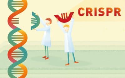Prix Nobel pour CRISPR-Cas9