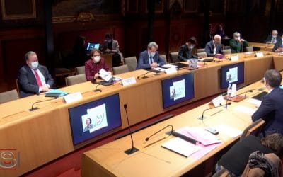 ppl ivg : pas adoptée en commission du sénat, examen en séance le 20 janvier