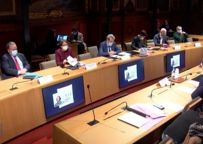 ppl ivg : pas adoptée en commission du sénat, examen en séance le 20 janvier