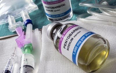 Euthanasie : L’association « Ultime liberté » mise en cause pour trafic de Pentobarbital