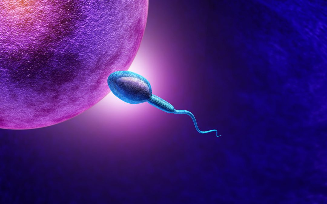 infertilité : un rapport axé sur la prévention et la recherche
