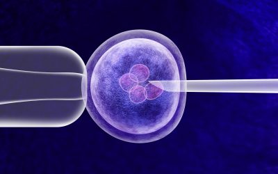 Une augmentation alarmante des tests génétiques complexes dans la sélection des embryons humains in vitro